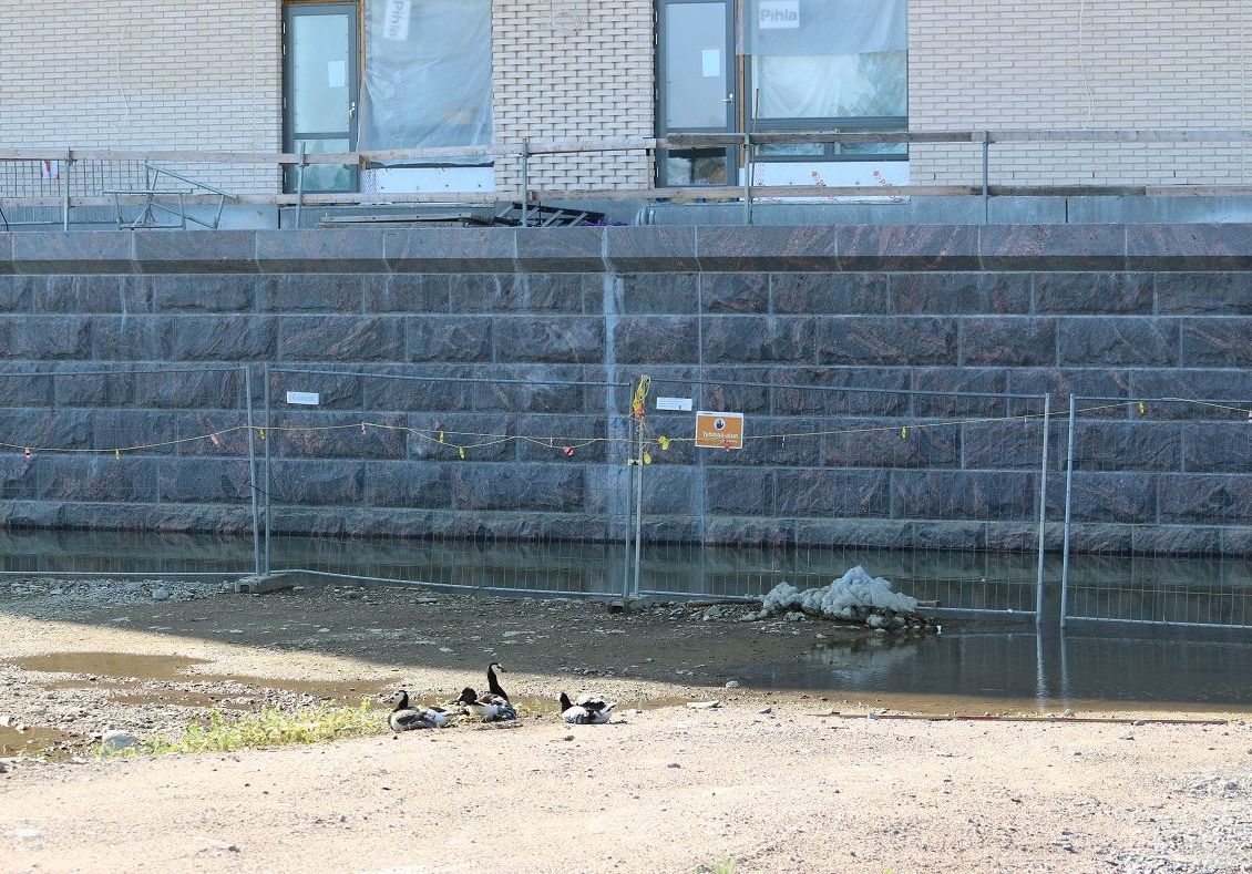Verkkosaaren kanava